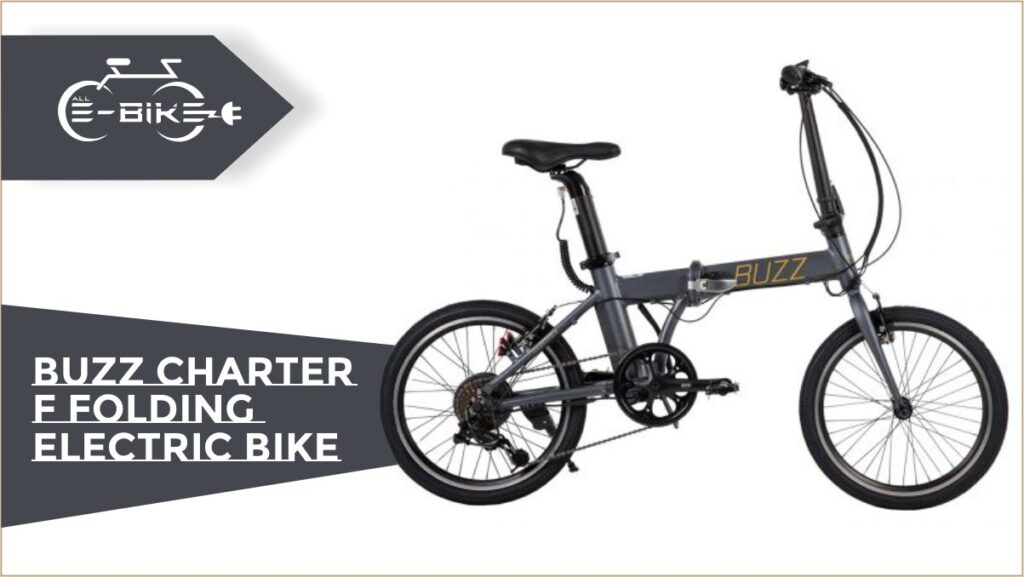 Buzz Charter F Folding Electric Bike AllElectric Bikes