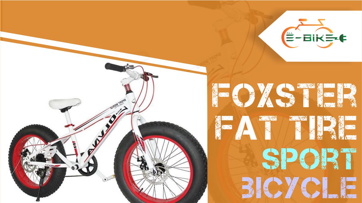 foxster fat tyre cycle price